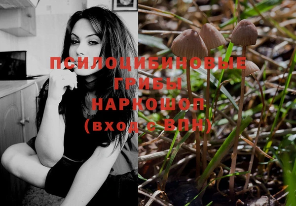 твердый Верхний Тагил