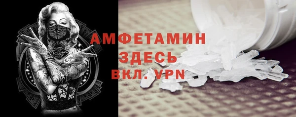 2c-b Ельня