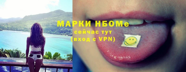 твердый Верхний Тагил