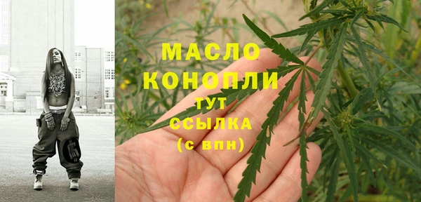 гидра Елизово