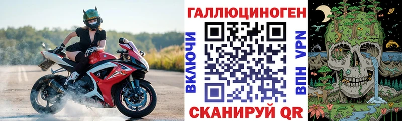 omg ONION  Мончегорск  Псилоцибиновые грибы Cubensis 