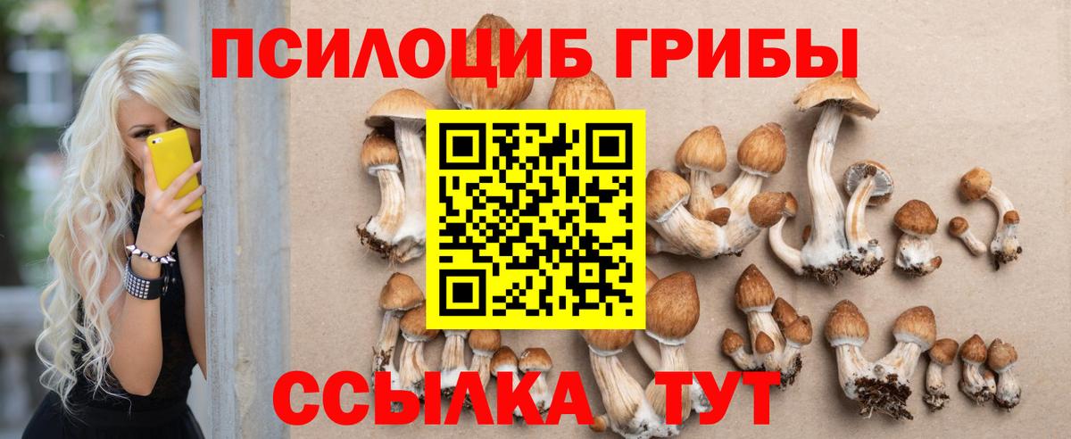 Галлюциногенные грибы GOLDEN TEACHER Мончегорск